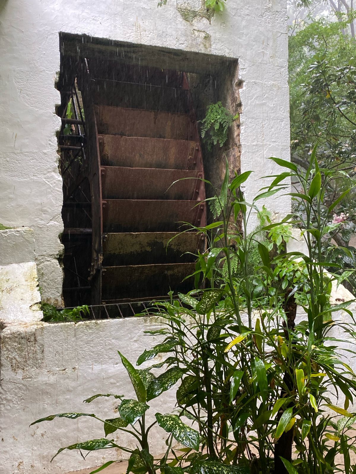 Guests at the Pitons